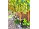 Backyard space featuring a lush grape vine covered wooden pergola, and shade at 4211 Enchanting Sky Ave, North Las Vegas, NV 89081