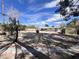 Large backyard showcasing shade trees, desert landscaping, and a storage shed at 4485 Greenhill Dr, Las Vegas, NV 89121