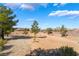 Spacious backyard with desert landscaping and plenty of room to enjoy the outdoors at 4963 Pensier St, Las Vegas, NV 89135