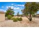 Backyard featuring desert landscaping and natural vegetation at 4963 Pensier St, Las Vegas, NV 89135