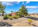 Desert landscaped home with mature trees and shrubs underneath a sunny blue sky with clouds at 4963 Pensier St, Las Vegas, NV 89135