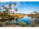 Scenic view of a pond surrounded by palm trees and desert vegetation with mountain views at 4963 Pensier St, Las Vegas, NV 89135