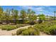Community pool area surrounded by lush greenery, offering a serene and private recreational space at 4963 Pensier St, Las Vegas, NV 89135