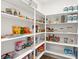 View of walk-in pantry with stocked shelves, including food and household items at 3243 Fountaintree Ave, Henderson, NV 89044