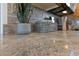 Close-up showcasing the granite countertops and the decorative plant adding a touch of nature at 3450 Oakleaf Ave, Pahrump, NV 89048