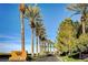 Picturesque community entrance lined with tall palm trees and lush landscaping at 15 Via Mantova # 308, Henderson, NV 89011