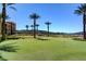 Lush green with palm trees, landscaped grounds and picturesque view of lake and mountains at 15 Via Mantova # 308, Henderson, NV 89011
