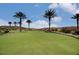 Expansive green area featuring palm trees, manicured landscaping, and beautiful mountain views at 15 Via Mantova # 308, Henderson, NV 89011