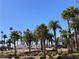 Photo of Rhodes Ranch signage surrounded by palm trees, offering a glimpse into the neighborhood's tropical feel at 405 Center Green Dr, Las Vegas, NV 89148