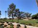 Scenic view of the golf course with lush greenery, mature trees, and walking path under a clear blue sky at 405 Center Green Dr, Las Vegas, NV 89148