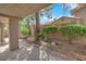 Well-maintained courtyard featuring desert landscaping, trees, and walkways at 7368 Mission Hills Dr, Las Vegas, NV 89113