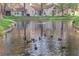 Backyard with a pond and mature trees offers a serene outdoor retreat at 7368 Mission Hills Dr, Las Vegas, NV 89113