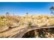 Desert landscape view with palm trees, native foliage, stone border and houses in the distance, under a clear blue sky at 3163 Elk Clover St, Las Vegas, NV 89135