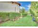 Charming side yard featuring a well-manicured lawn and manicured greenery, enhancing the property's appeal with its tidy aesthetic at 3221 Montecito Dr, Las Vegas, NV 89120