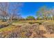 Community view featuring green space, a walking path, and various trees at 3685 Australian Cloud Dr, Las Vegas, NV 89135