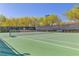 Well-maintained tennis court for friendly matches or serious training with a net and lighting at 3685 Australian Cloud Dr, Las Vegas, NV 89135