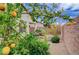 A lush lemon tree highlights this backyard's low-maintenance desert landscaping at 3717 Rocklin Peak Ave, North Las Vegas, NV 89081