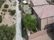 Private backyard with lush greenery, providing a serene and relaxing outdoor space at 4036 W Bird Man Ln, North Las Vegas, NV 89084