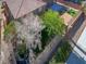 Aerial view showcases a backyard with a covered patio, lush greenery, and a well-kept lawn at 4036 W Bird Man Ln, North Las Vegas, NV 89084