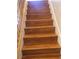 Staircase featuring wood steps and railing at 8122 Delphi Ct, Las Vegas, NV 89117