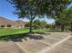 Scenic view of a park with lush green grass, walking paths, trees and a playground area at 824 Holly Lake Way, Henderson, NV 89002