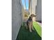 Side yard access to the backyard at 824 Holly Lake Way, Henderson, NV 89002