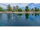 Scenic pond with ducks swimming in the water on a clear day with mature trees in background at 4125 Gliding Gulls Ave, North Las Vegas, NV 89084