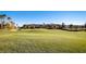 Scenic view of a well-maintained golf course with mature palm trees and residential buildings in the background at 1269 Olivia Pkwy, Henderson, NV 89011
