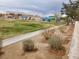 A neighborhood park featuring covered picnic areas, a mural and a grassy field at 4032 Bola Dr, North Las Vegas, NV 89032