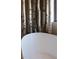 The soaking tub with unique birch tree decoration has a view at 64 Promontory Ridge Dr, Las Vegas, NV 89135