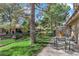 Charming backyard with a pond, mature trees, and a patio dining set, perfect for outdoor entertaining at 7803 Canoe Ln, Las Vegas, NV 89145
