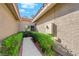 Inviting home entrance framed by manicured landscaping, leading to the front door at 7803 Canoe Ln, Las Vegas, NV 89145