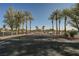 Scenic entrance to the community center with palm trees lining the paved road, leading to the building at 2147 Indigo Creek Ave, Henderson, NV 89012