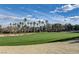 Scenic view of lush golf course with tall palm trees and blue sky, perfect for relaxing and enjoying the outdoors at 33 Chateau Whistler Ct, Las Vegas, NV 89148