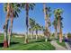Lush landscaping with towering palm trees lining the sidewalk with views of the neighborhood homes and mountains at 33 Chateau Whistler Ct, Las Vegas, NV 89148