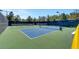 Well-maintained pickleball court with green and blue surfaces, black netting, and lush green trees nearby at 33 Chateau Whistler Ct, Las Vegas, NV 89148