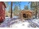 A snowy backyard view of the wood storage area, ready to keep you cozy all winter long at 4165 Mont Blanc Way, Mount Charleston, NV 89124