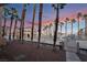 Beautiful outdoor pool area surrounded by palm trees, offering a serene and tropical atmosphere at sunset at 5000 Red Rock St # 120, Las Vegas, NV 89118