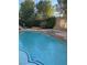 Backyard swimming pool surrounded by lush greenery, featuring a jacuzzi for relaxation and entertainment at 9301 Harrow Rock St, Las Vegas, NV 89143