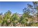 Scenic view of trees and distant mountains, offering a tranquil and picturesque backdrop at 4630 Basilicata Ln # 203, North Las Vegas, NV 89084