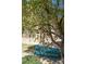 A turquoise bench sits in the shade of a tree in the common outdoor area of this Las Vegas condo community at 4941 River Glen Dr # 4, Las Vegas, NV 89103