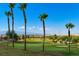 View of the green with palm trees, desert landscaping, and the city in the background at 1026 Via Saint Andrea Pl, Henderson, NV 89011