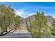 Scenic street view with mountain views, mature trees and desert landscaping at 10270 Gilmore Canyon Ct # 202, Las Vegas, NV 89129