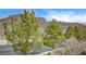 Views of mature trees alongside the neighborhood street with mountain views beyond at 10270 Gilmore Canyon Ct # 202, Las Vegas, NV 89129
