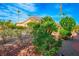 Desert landscaping with flowering shrubs, palm trees, and decorative rock at 10640 Mission Lakes Ave, Las Vegas, NV 89134
