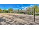 Sandy volleyball court ready for a game with a net, surrounded by trees and an open green space at 1983 Songbird Ct, Henderson, NV 89012