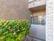 Exterior view with a small patio area, accented by lush greenery and a sliding glass door at 2152 Turquoise Ridge St # 105, Las Vegas, NV 89117