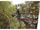 Scenic pool area surrounded by lush trees offering a relaxing and private oasis at 230 E Flamingo Rd # 229, Las Vegas, NV 89169