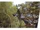 Enjoy serene views of the community pool surrounded by lush trees from the property at 230 E Flamingo Rd # 229, Las Vegas, NV 89169