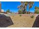 Gravel backyard featuring sparse plant life and block wall at 4130 Lucas Ave, Las Vegas, NV 89120